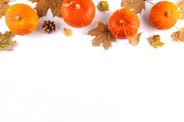 Sonbahar yaprakları ve balkabakları beyaz arka planda yatıyordu. Sonbahar tatilleri, Şükran Günü, davetiye, tebrik kartı arkaplan şablonu, sınır fotokopi alanı olan üst manzara