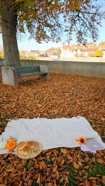 Picnic place and blanket, autumn, pumpkins and raisin buns on the blanket. High quality photo clipart