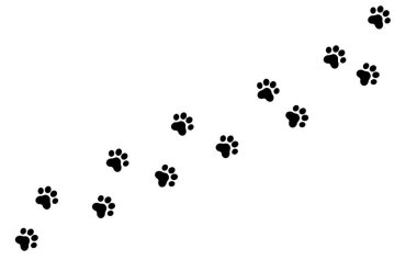 Kedi ayak izleri var. Siyah Kedi Pençesi izleri şeffaf arkaplanda izole edildi