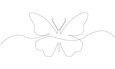 Tek çizgili bir güve çizgisi devam ediyor.