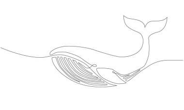 Bir kuşun çizgi çizimi. Bir salyangoz çizgisi. boyama kitabı