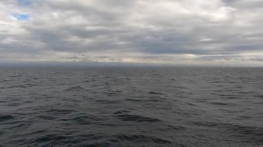 Bulutlu bir günde dalgaların çarptığı okyanusun 4K 'lık bir görüntüsü hareket halindeki bir gemiden alındı. Kamera dalgaları takip ediyor. Geminin arkasında dalgalanırken ufuk aralıksız uzanıyor.