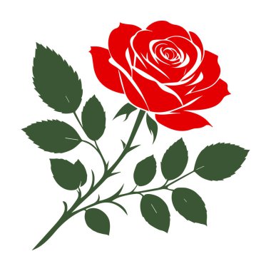 Beautiful red rose Isolated on white background clipart