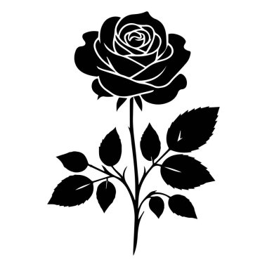 Beyaz arkaplanda izole edilmiş bir gül çiçeğinin siyah silueti.