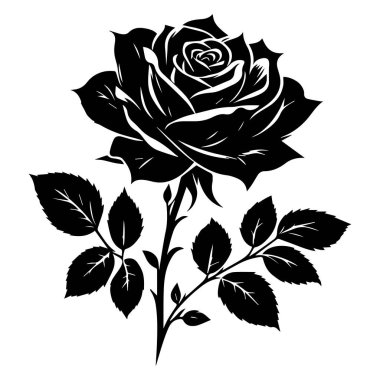 Beyaz arkaplanda izole edilmiş bir gül çiçeğinin siyah silueti.