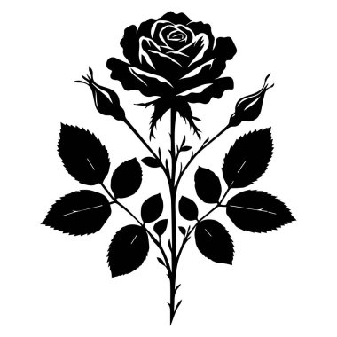 Beyaz arkaplanda izole edilmiş bir gül çiçeğinin siyah silueti.
