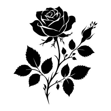 Uzun saplı ve yapraklı süs gülü. Çiçek çizimi. Vektör çizimi Silüet gül yaprakları ve dikenleri ile gövde üzerinde, aşk ve doğa temalı tasarımlar için mükemmel