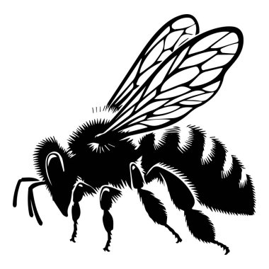 Beyaz arkaplan ile arı siluet vektör stili, güzel bir uçan arı siluet vektör simgesi. Şirin arı ikonu, siluet, çok basit ve tek bal arısı silueti beyaz arkaplan