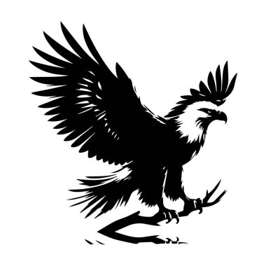 Yuvasında oturan siyah-beyaz kartal silueti, Uçan Kel Kartal siyah-beyaz siluet vektörü, beyaz arka planda izole edilmiş Kel Kartal silueti