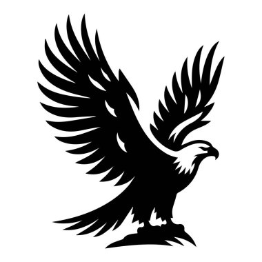 Yuvasında oturan siyah-beyaz kartal silueti, Uçan Kel Kartal siyah-beyaz siluet vektörü, beyaz arka planda izole edilmiş Kel Kartal silueti