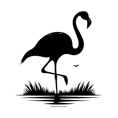 Flamingo vektör silueti, vektör siyah flamingo silueti, tropikal kuş flamingosunun siyah silueti. Flamingo 'nun ana hatlarıyla gösterimi beyaz arkaplanda izole edilmiş, flamingo tek ayak üzerinde duruyor. Turnalar, Akbalıkçıllar ve flamingolar