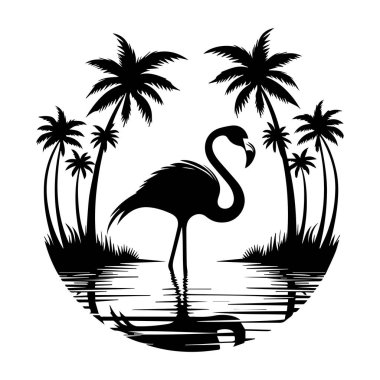 Flamingo vektör silueti, vektör siyah flamingo silueti, tropikal kuş flamingosunun siyah silueti. Flamingo 'nun ana hatlarıyla gösterimi beyaz arkaplanda izole edilmiş, flamingo tek ayak üzerinde duruyor. Turnalar, Akbalıkçıllar ve flamingolar