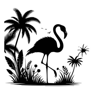 Flamingo vektör silueti, vektör siyah flamingo silueti, tropikal kuş flamingosunun siyah silueti. Flamingo 'nun ana hatlarıyla gösterimi beyaz arkaplanda izole edilmiş, flamingo tek ayak üzerinde duruyor. Turnalar, Akbalıkçıllar ve flamingolar