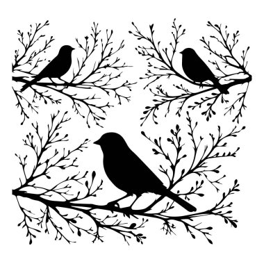 Kuş silueti koleksiyonu, av vektör siluetleri koleksiyonu, siyah kuş silueti koleksiyonu. Bir grup siyah kuş silueti izole edildi.
