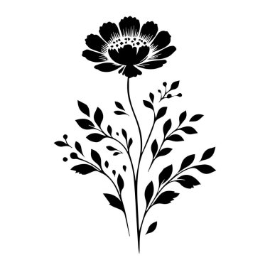 Otlar ve yabani çiçeklerle otlar, çiçek tarlalarının izole edilmiş silueti. Yatay kenar, çiçek ve siluet seti. El çizimi çiçek desenleri bahçe çiçekleri ve beyaz arka planda izole edilmiş yapraklar.