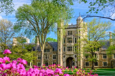 Michigan Üniversitesi Hukuk Fakültesi Kampüsü güneşli bir bahar gününde.