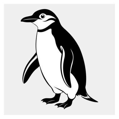 Chinstrap Penguen Vektör İllüstrasyonu - Doğa ve Vahşi Yaşam için Yazdırılabilir Grafik Tasarımı