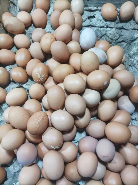  Saman yatağında dinlenen taze kahverengi yumurta koleksiyonu. Yemek pişirmek, pişirmek ve besleyici yemeklerinize eklemek için mükemmel..