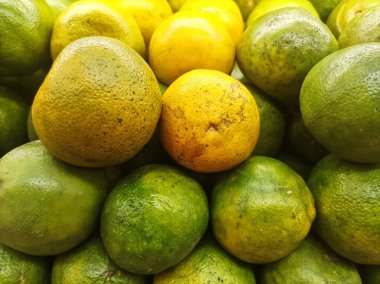 Canlı sarı ve yeşil tonlarda taze toplanmış portakallar, turunçgillere iyi gelir. Canlandırıcı atıştırmalık ya da C vitamini takviyesi için mükemmel.