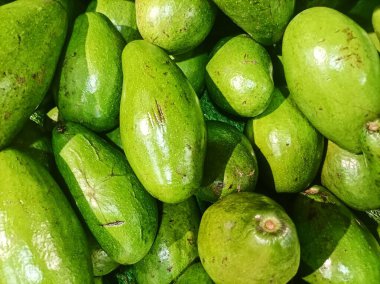 Bir yığın taze, canlı yeşil avokado çerçeveyi dolduruyor, pürüzsüz ve olgun derilerini sergiliyor. Görüntü, bu sevgili meyvenin doğal ve sağlıklı cazibesini vurguluyor.