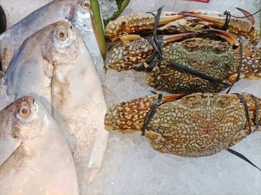 Taze yengeçler ve pomfret balıkları buzun üzerinde, lezzetli bir deniz ürünleri şölenine dönüşmeye hazırlar. Lezzetli ve besleyici bir yemek için mükemmel bir fırsat..