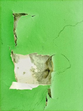 Altında kabuk bağlayan yeşil bir duvar alttaki pürüzlü yüzeyi ortaya çıkarıyor, çeşitli dokuları sergiliyor ve uzaya kentsel, yıpranmış bir estetik ekliyor..