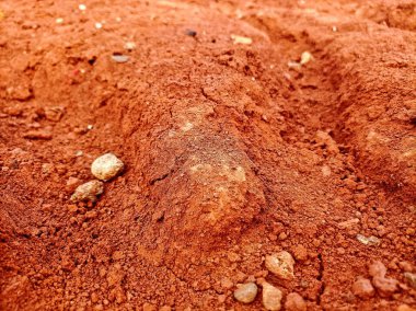 Dağınık çakıl taşlarıyla zengin kırmızı toprak, yeryüzü dokusunu ve doğal güzelliği gözler önüne seriyor. Büyümek ve doğayla bağ kurmak için ideal..