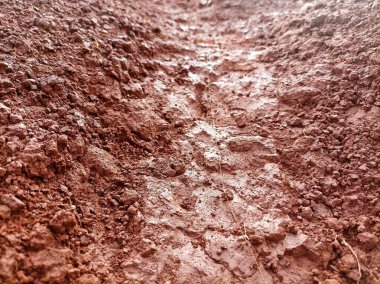 Close-up of rugged, reddish-brown soil texture, showcasing natures raw and earthy composition with a detailed focus on its intricate patterns. clipart