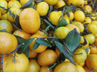 taze mandalinalar ve pazarda yapraklar