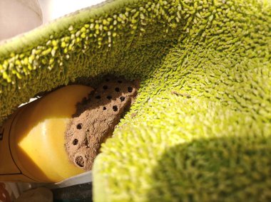 A close-up of a fascinating mud dauber wasp nest, showcasing its intricate design nestled against a soft green textured surface. clipart