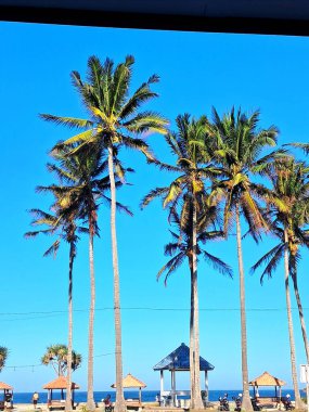 Titreyen palmiyeler dalgalı mavi gökyüzü ve okyanus manzaralı bir zemin üzerine kurulmuş büyüleyici balkonlar sunan sakin kıyı şeridi boyunca uzanır..