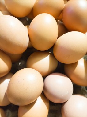 Sıcak ışık altında yakalanan taze, altın sarısı yumurtalar doğal iyiliği, besinleri ve sağlıklı pişirmenin özünü sembolize eder..