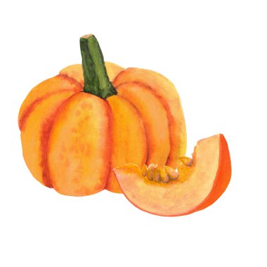 Suluboya el yapımı balkabağı. Sonbahar kompozisyonu, balkabağı ve bir dilim balkabağı. Sonbahar, sonbahar, şükran günü, tatil. Davetiye kartı, tebrik kartı ve kartpostal için harika bir kompozisyon. 