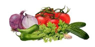 Beyaz arka planda izole edilmiş sebzelerin suluboya çizimi. Yüksek kalite çizim. Mutfak dekorasyonu, menü ve yemek çizimi için harika bir resim.