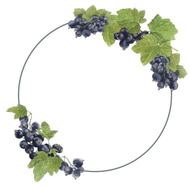 Lezzetli siyah kuşüzümlü suluboya brunch. Resim, mutfak dekoru, dut posteri, tebrik kartı ya da davetiye için beyaz arka planda izole edilmiş..