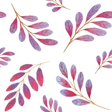 Mor gül brunchlarıyla suluboya kusursuz desen. Sevgililer Günü için beyaz arkaplanda el çizimi çizimi izole edilmiş, doğum günü ya da düğün dürtüsü kağıdı, arka plan, romantik tema. 