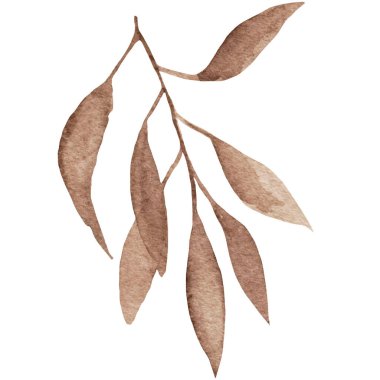 Yapraklı suluboya kahverengi fantezi brançı. El çizimi, doğum günü, düğün, selamlama, davetiye kartları, poster, kumaş veya kutu kapağı kağıdı için beyaz arka planda izole edilmiş.