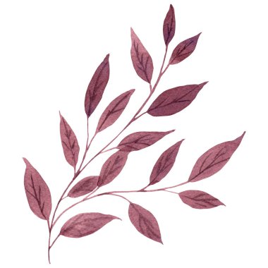 Tatlı suluboya kahverengi fantezi brançı. El çizimi, doğum günü, düğün, selamlama, davetiye kartları, poster, kumaş veya kutu ögesi, kapak kağıdı için beyaz arka planda izole edilmiş.