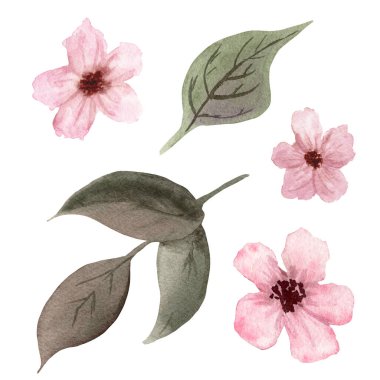 Yeşil yapraklı pembe fantezi çiçekleri. El çizimi, doğum günü, düğün, davetiye, tebrik kartları, poster, kutular, kumaş desenleri için beyaz arkaplanda izole edilmiş.