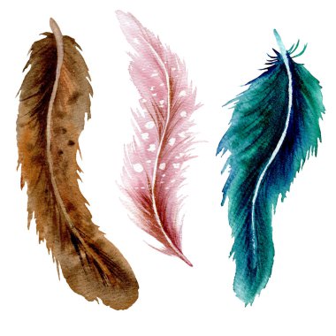 Ağaç suluboya tüyleri kahverengi, pembe ve zümrüt yeşili renk seti. El çizimi resmi karşılama, davet, düğün, doğum günü kartları, tasarım unsuru, poster, sanat için beyaz arkaplanda izole edildi