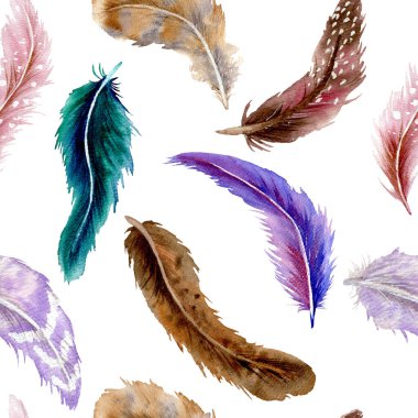 Farklı renk tüylerinin kusursuz deseni ve suluboya ile farklı enerjiye sahip. El çizimi resmi beyaz arkaplanda izole edilmiş selamlama, davet, düğün, doğum günü kartları, duvar kâğıdı.