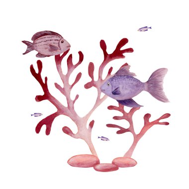 Deniz yosunlarının pembe fantezi dallarının suluboya gölgesi ve farklı tabak balıkları. El çizimi resmi, davetiye kartı, poster, çanta, baskı, web siteleri için beyaz arkaplanda izole edildi