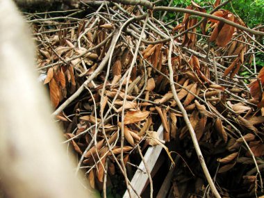 Bahçeye kuru yapraklar ekildi.