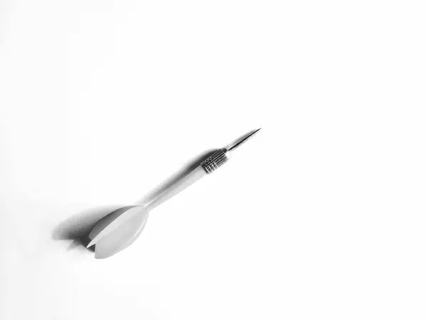 Beyaz arka planda beyaz ve siyah boya fırçası.