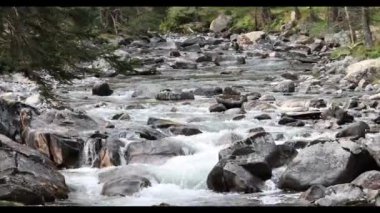 Nehrin akışı Pireneler Nehri 'ni vurdu. Yüksek kalite 4k görüntü