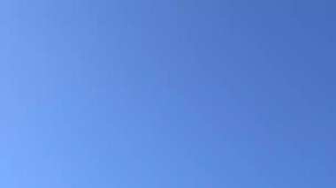 Bir uçak zarif bir şekilde mavi gökyüzüne yükseliyor, hem uçmanın hem de özgürlüğün gerçek özünü yakalıyor.