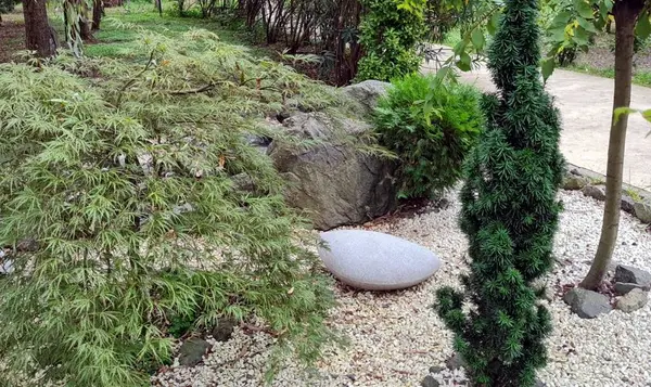 Parktaki güzel bahçe.