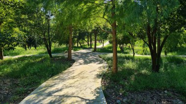 Parkın güzel manzarası