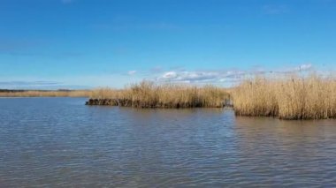 Parktaki nehrin güzel manzarası.