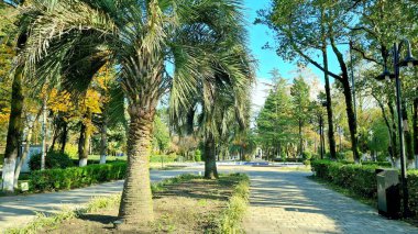 Parkın güzel manzarası